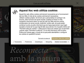 'palaumusica.cat' screenshot