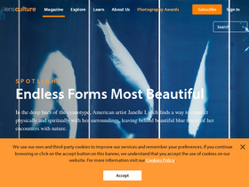 'lensculture.com' screenshot
