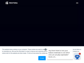 'pentera.io' screenshot
