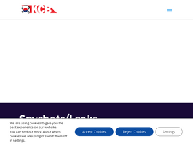 'thekoreancarblog.com' screenshot