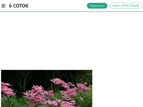 '6cotok.org' screenshot