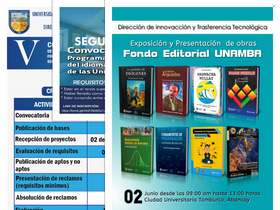 'unamba.edu.pe' screenshot