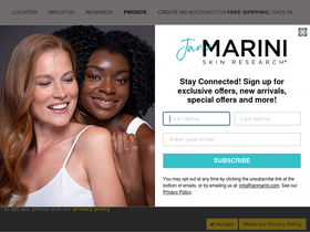 'janmarini.com' screenshot