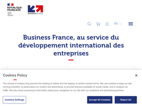 'businessfrance.fr' screenshot
