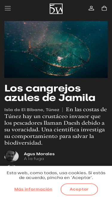 revista5w.com