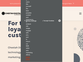 'cheetahdigital.com' screenshot