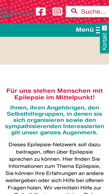 epilepsie-online.de