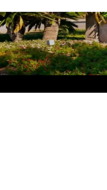 the-dominion.com