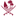 msdf.gov.qa
