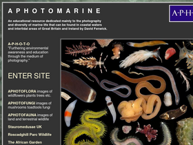 aphotomarine.com