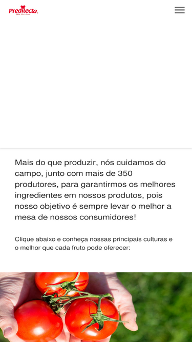 predilecta.com.br