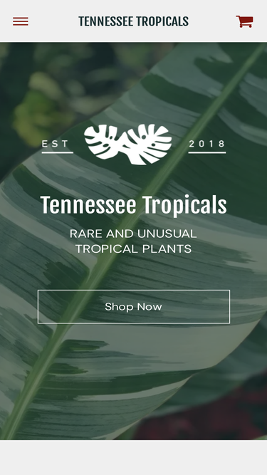 tennesseetropicals.com