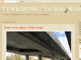 'tywkiwdbi.blogspot.com' screenshot