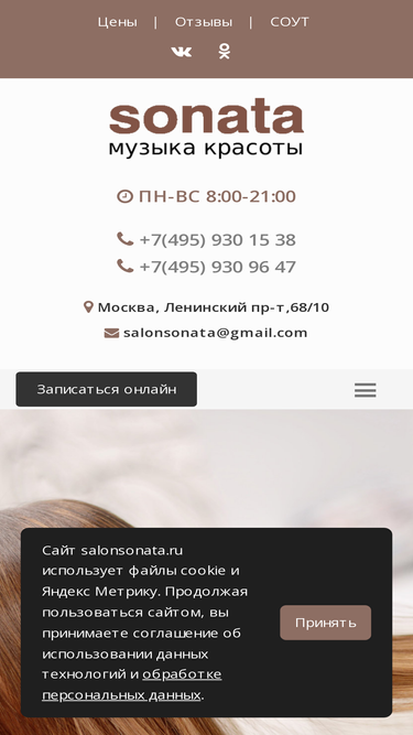 salonsonata.ru