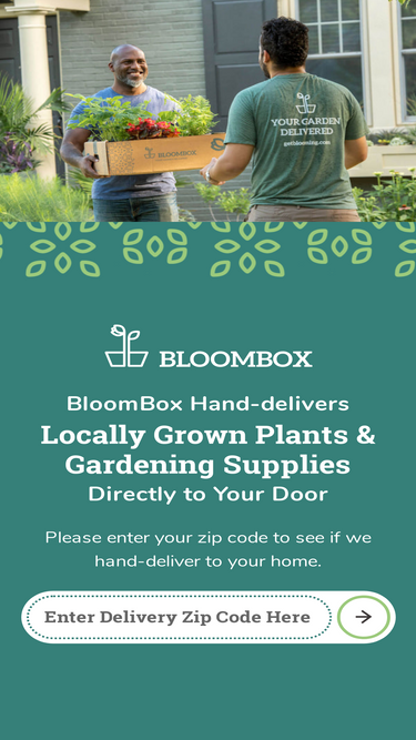 getblooming.com