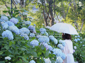 'sasebo99.com' screenshot