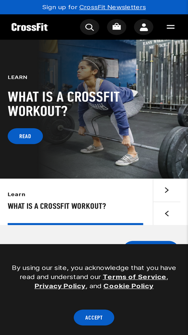 roguefitness Competitors Top Sites Like roguefitness Similarweb