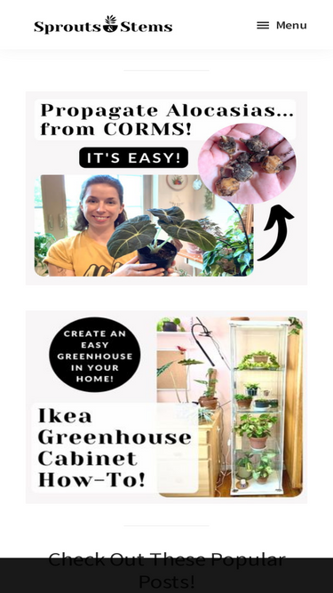 sproutsandstems.com