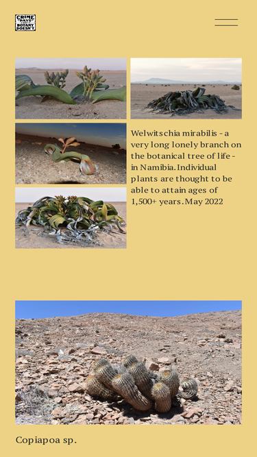 crimepaysbutbotanydoesnt.com