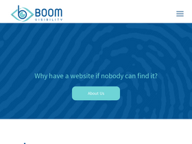 boomvisibility.com