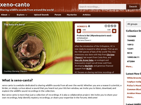 'xeno-canto.org' screenshot