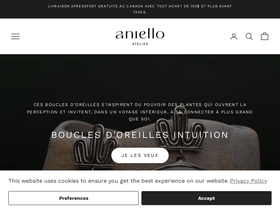 emiliedellaniello.com homepage screenshot