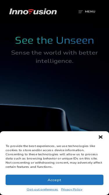 innovusion.com