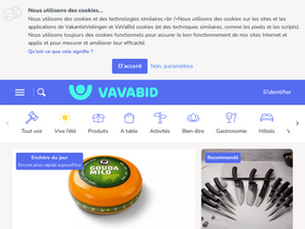 'vavabid.be' screenshot