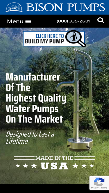 bisonpumps.com