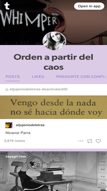 orden-a-partir-del-caos.tumblr.com