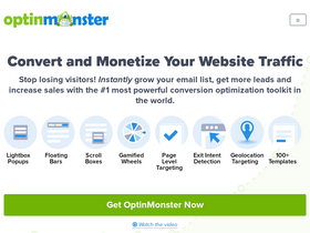 'optinmonster.com' screenshot