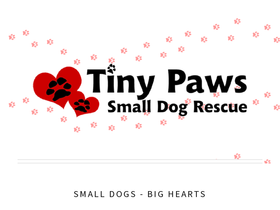 tinypawssmalldogrescue.org