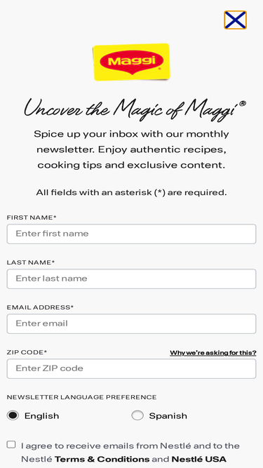 maggi.com