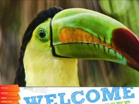 'ambergriscaye.com' screenshot