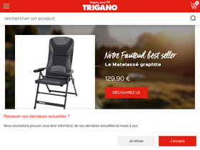 'trigano-camping.com' screenshot