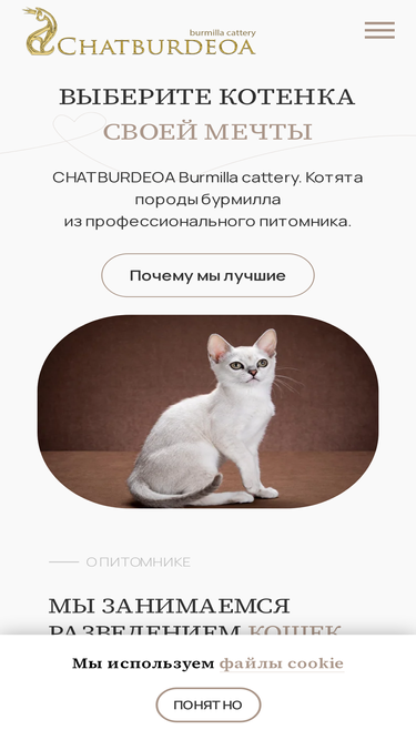 chatburdeoa.ru