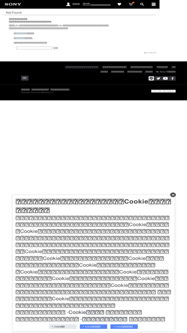 msc.sony.jp