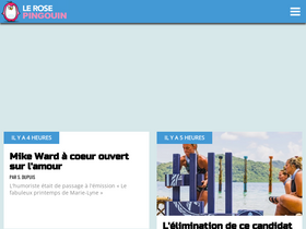 'rosepingouin.com' screenshot