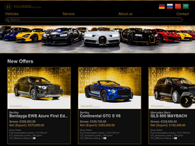 'hollmann.international' screenshot