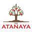 atanaya.com