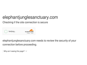 'elephantjunglesanctuary.com' screenshot