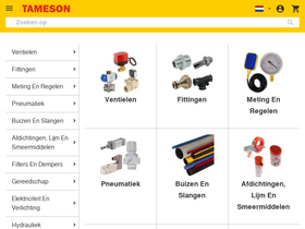 'tameson.nl' screenshot