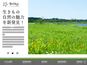 'buna.info' screenshot