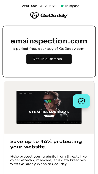 amsinspection.com