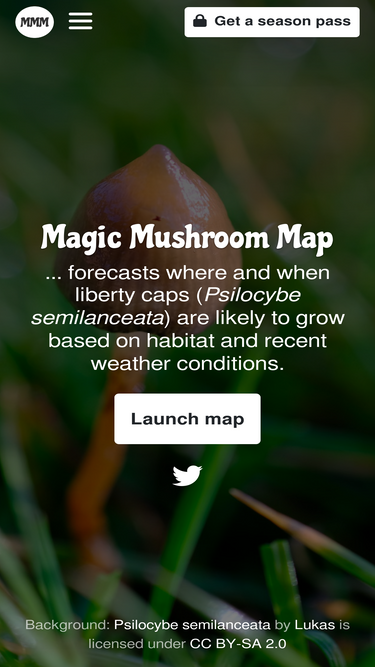 magicmushroommap.com