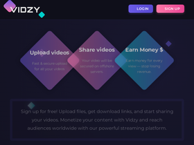 vidzy.org