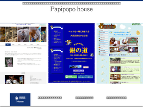 'papipopo.com' screenshot