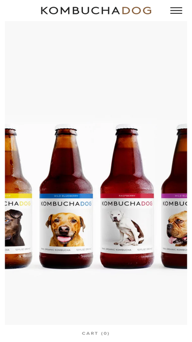 kombuchadog.com