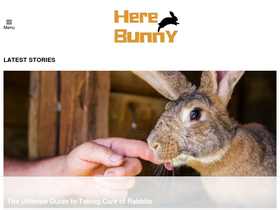 herebunny.com