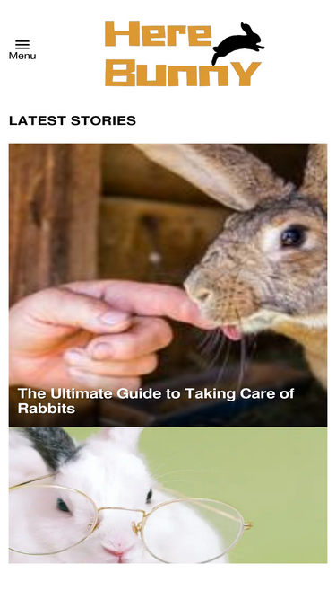 herebunny.com